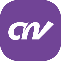 The CNV Serious Game: an interactive training game for the workplace