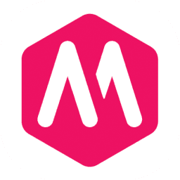 Mediawijsheid.nl: management and further development of a central knowledge platform